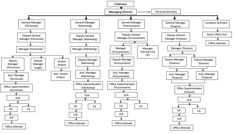 Zoo Organizational Chart